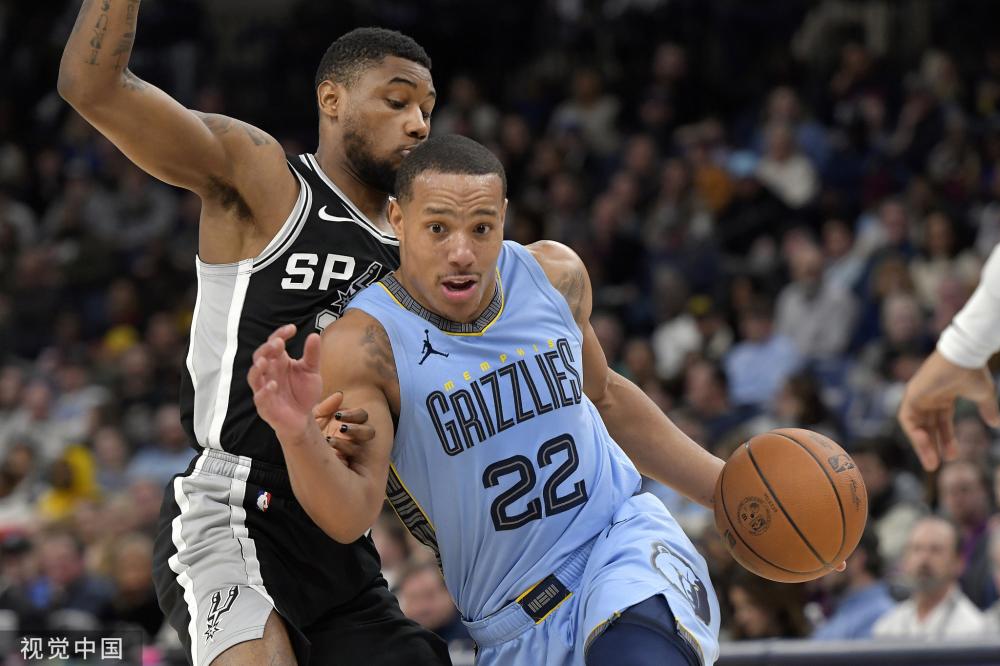 多样性和临 多样性和临